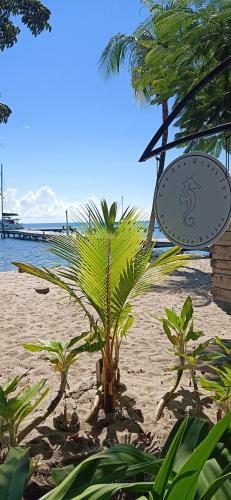 Posada The Sea Glass Inn