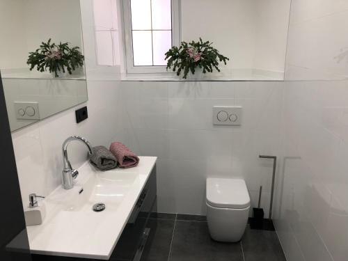 Hostal Apartment And Room Aria