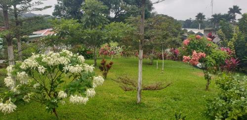 Serenidad