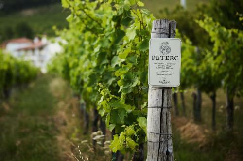Bed & Breakfast Peterc Vineyard Estate