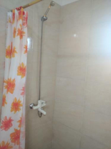 Apartamento Departamentos Andrea