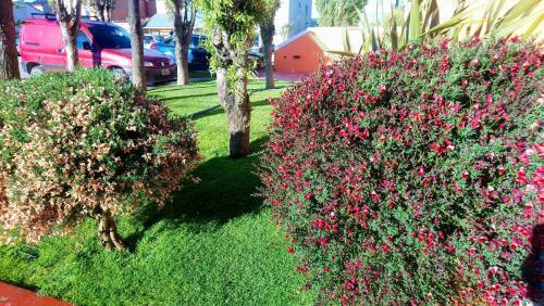 Apartamento El Buen Descanso