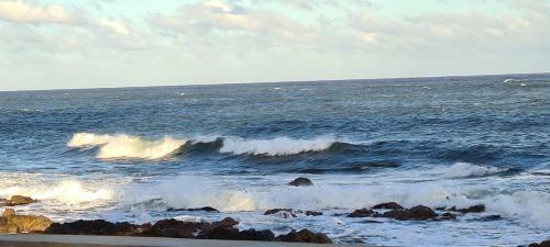 Apartamento Rambla 24 Punta Del Este