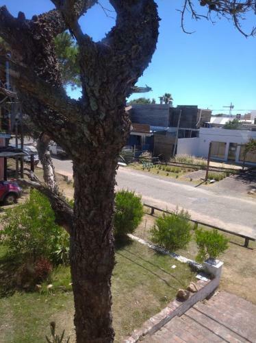 Apartamento Duplex 1 Dormitorio Pr�ximo A Bikini Beach