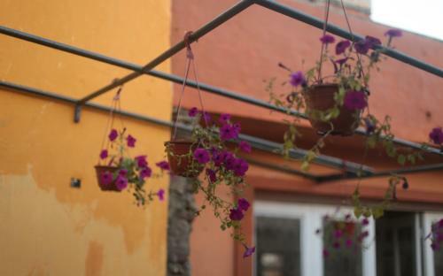 Apartamento Pueblo Narakan