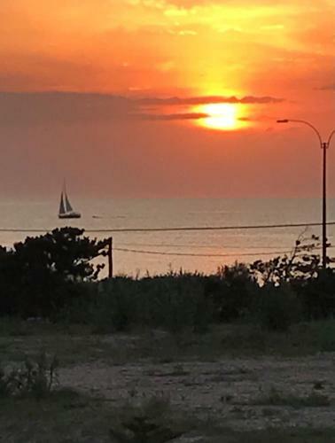 Punta Del Este A 100 Mts De La Playa Mansa