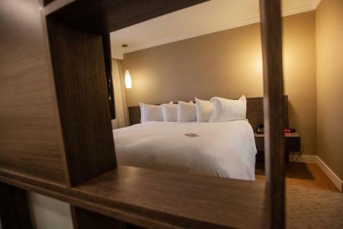 Hotel Eurobuilding Express El Tigre