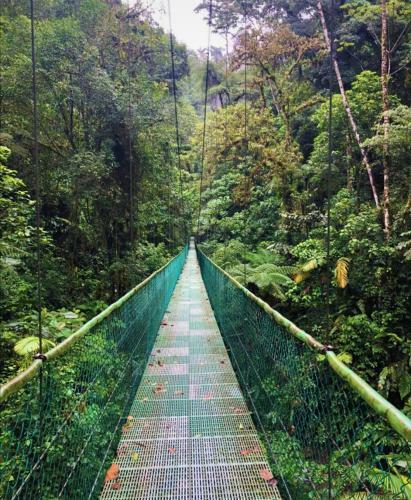 Lake Gardens Arenal