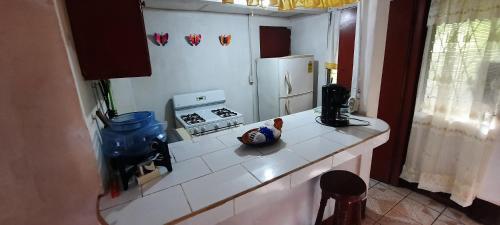 Apartamento Hospedaje Tropical Dreams