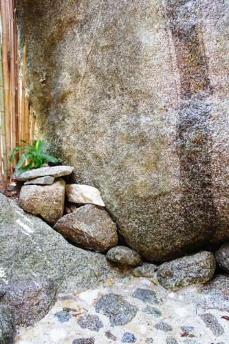 Bed & Breakfast Ecofinca Fuente Alegre