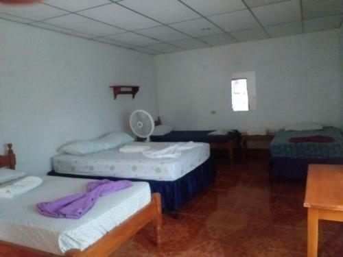 Hostal Bullshark