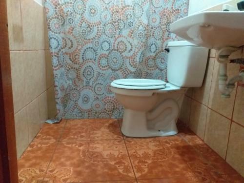 Hostal Bullshark