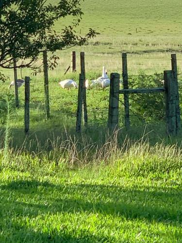 Tranquilo Entorno Campestre