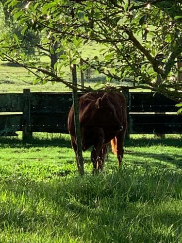 Tranquilo Entorno Campestre