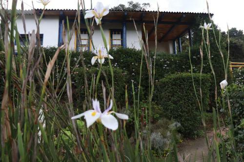Chalet En Granja Campo Hermoso