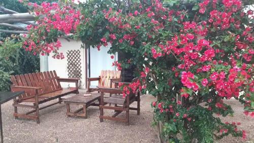 Alojamiento Parque Haras Las Palmeras