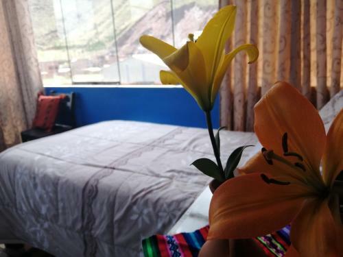 Hostal Hospedaje Los Lirios