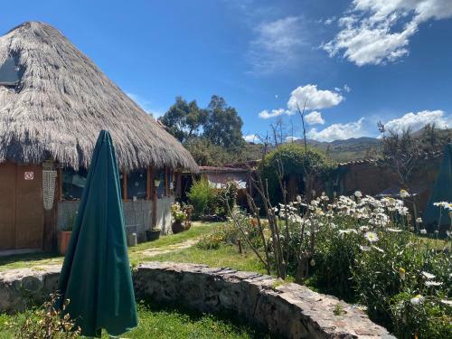 Bed & Breakfast Mountain House Casa De La Gringa