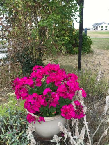 Bed & Breakfast Villa Lavendel