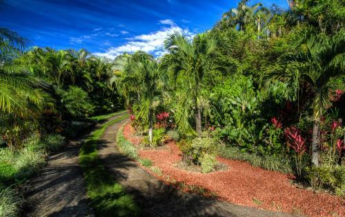 Apartamento Sleeping In Paradise