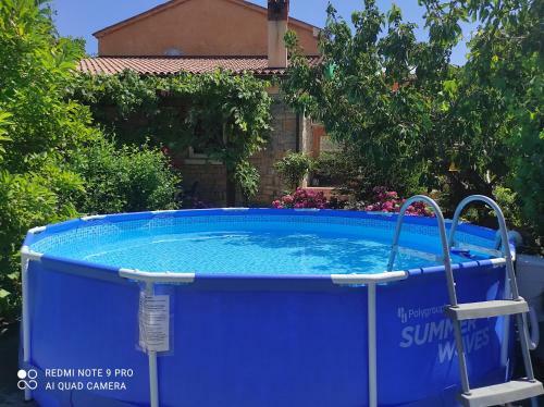 Apartment Villa Istriana