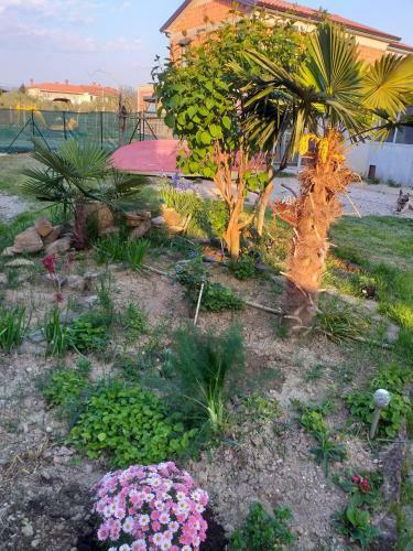 Apartamento Istra
