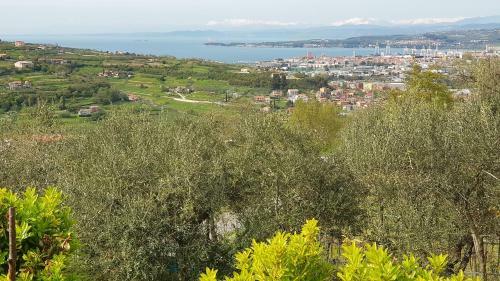 Hostal Apartment And Rooms Parus