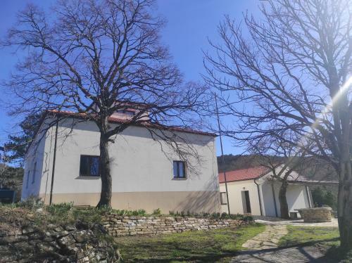 Apartamento Park Istra Guest House