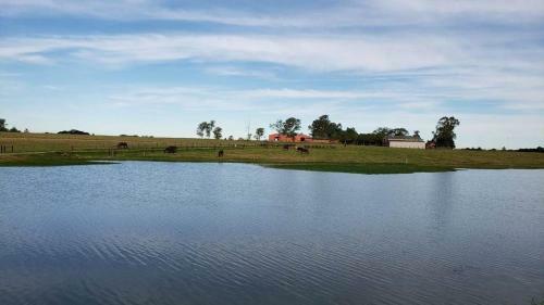 Hostal Estalagem Haras Di Cellius