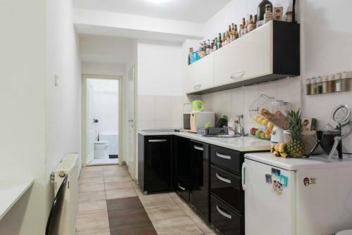 Spacious 1-bedroom Apartment