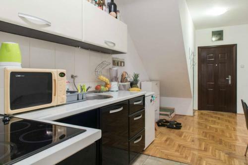 Spacious 1-bedroom Apartment