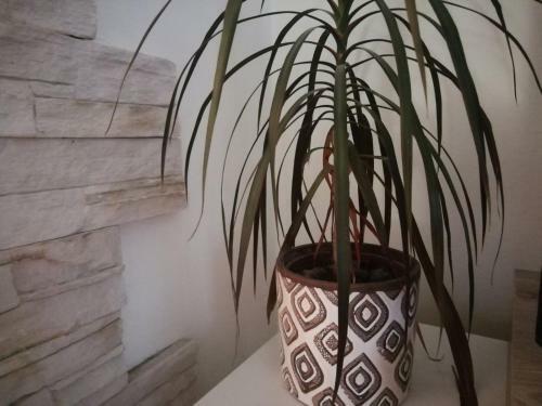 Apartment Green Free Private Parking