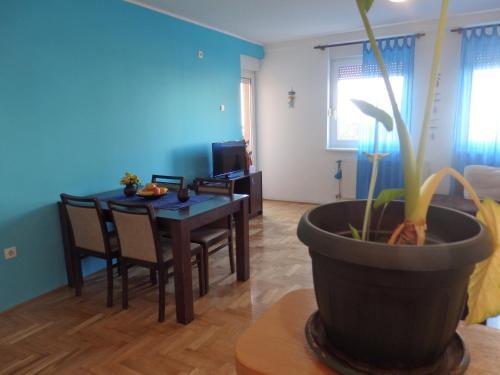 Apartment Erika 2
