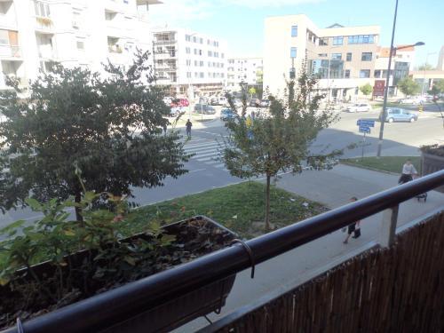 Apartment Erika 2