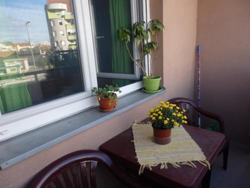 Apartment Erika 2