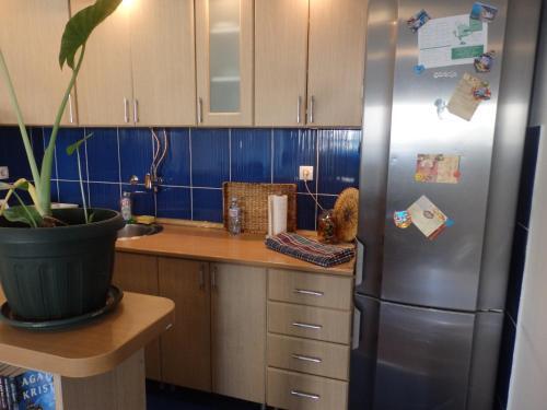Apartment Erika 2
