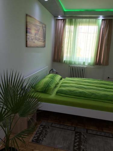 Apartamento Green Dreams