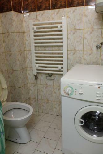 Center Apartment Iva
