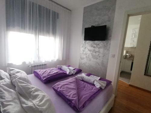 Apartman Gallery Square - Pupin Palace