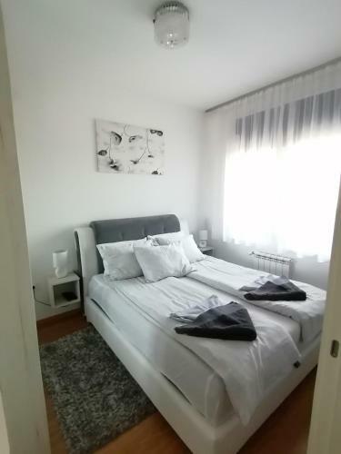 Apartman Gallery Square - Pupin Palace