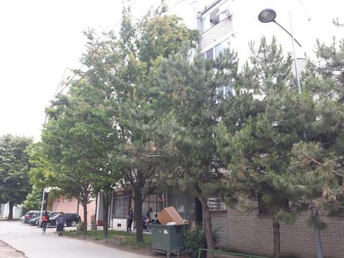 Hann Apartments