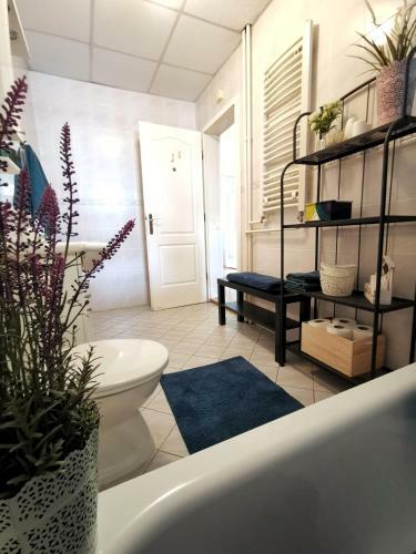 Apartment Srna