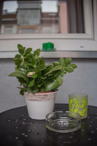 Apartment Natasa