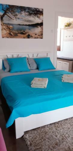 Apartment Zorana-center