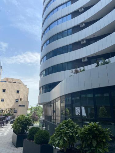 Pupin Palata Business Apartman B5