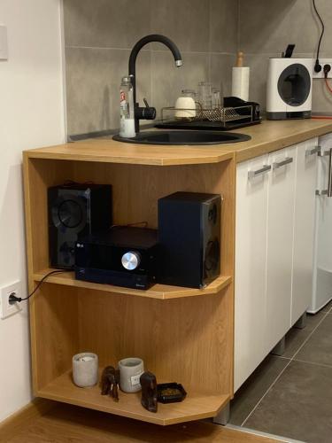 Pupin Palata Business Apartman B5