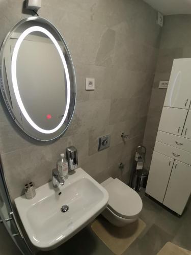 Pupin Palata Business Apartman B5