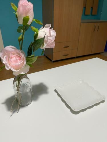Apartment Elefant 021