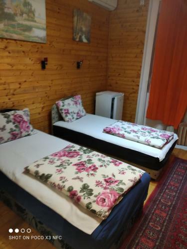 Albergue Top Location Free Wifi