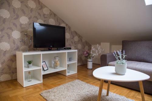 Stella Modern Apartment